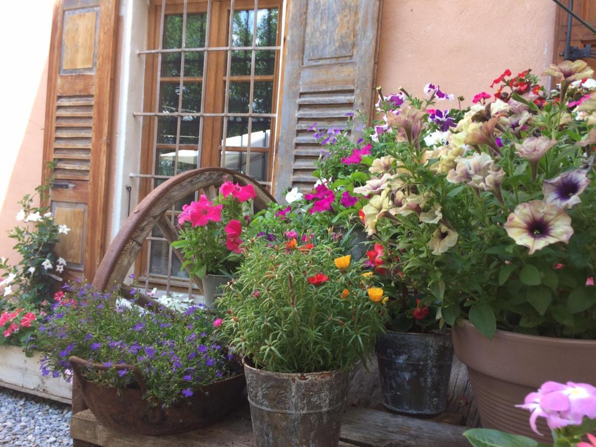 Le Val D'Ailleurs Bed & Breakfast Жозие Екстериор снимка